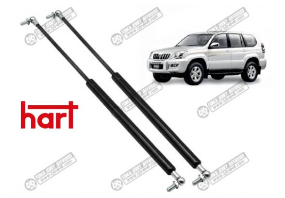 Verins de capot, la paire